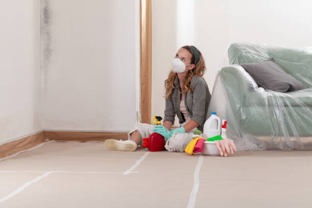Reliable Mold Testing contractor in Oaklyn, NJ by WQB Mold Removal